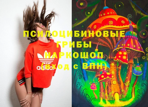 соль курить ск Медвежьегорск