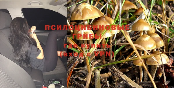 а пвп мука Медногорск