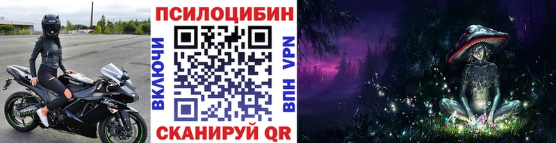 Псилоцибиновые грибы мицелий  Купить закладки  Людиново 
